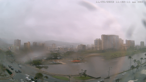 Ala Wai Canal Hawaii | McCully Bridge | Live Cam Real Time