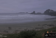 Long Beach Washington Webcam