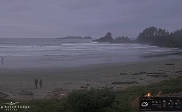 Long Beach Washington Webcam