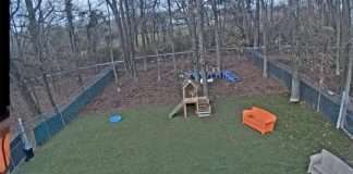 Dogwood Acres Webcam