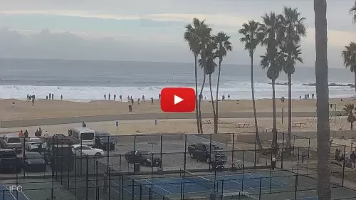 Venice Beach Webcam Boardwalk Area Live New California, Usa