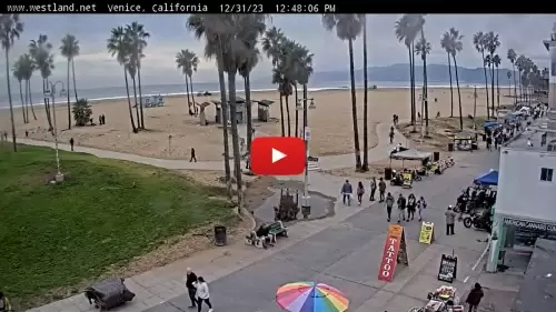 Venice Beach Basketball Courts Live Webcam New California, Usa