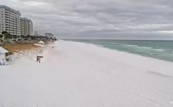 Seascape Webcam Whale's Tail Beach Bar And Grill | Fl