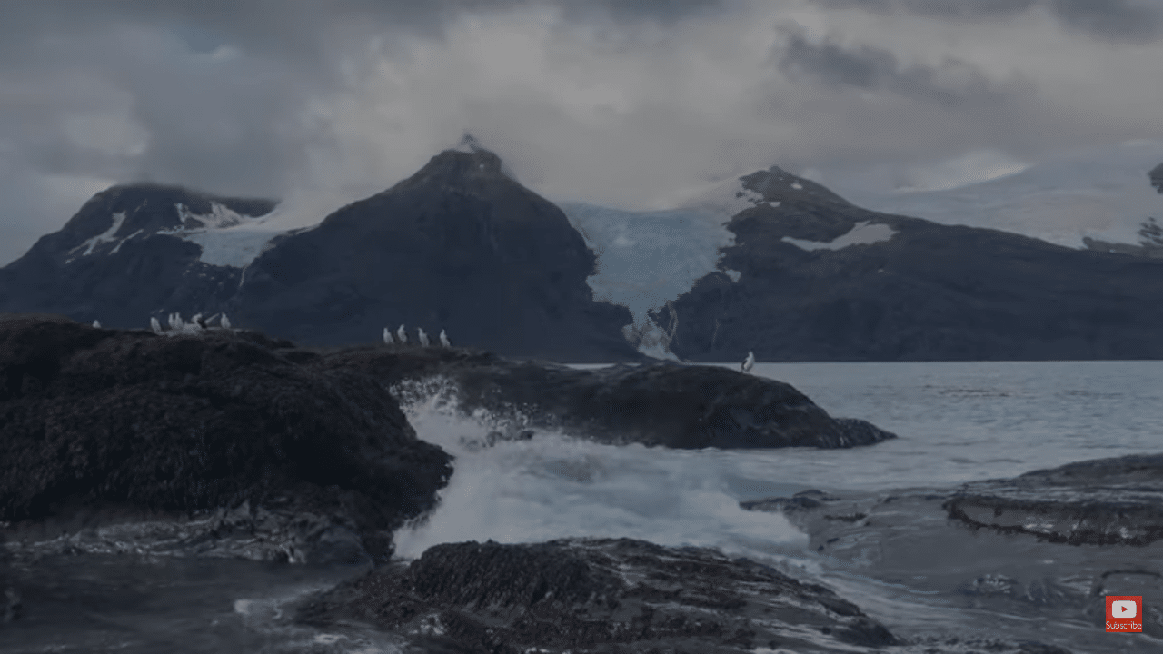 South Georgia Island Webcam