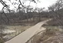 Frio River Webcam | Texas