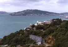 Wellington Harbour Live Webcam | New Zealand