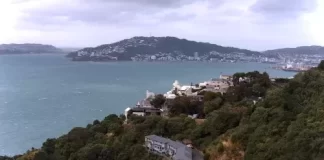 Wellington Harbour Live Webcam | New Zealand