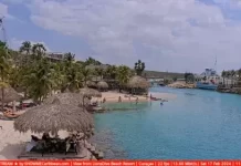 Mambo Beach Curacao Live Cam