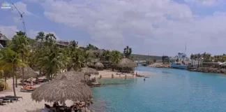 Mambo Beach Curacao Live Cam