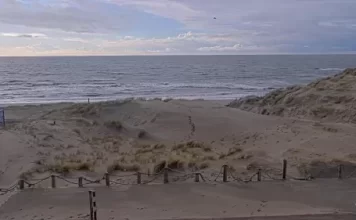 Webcam Paal 9 Texel, Netherlands