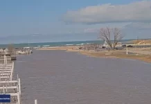New Buffalo Michigan Webcam | Harbor Docks