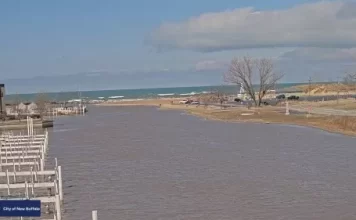 New Buffalo Michigan Webcam | Harbor Docks