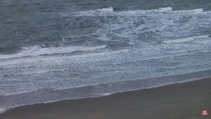 Webcam Wenduine, De Haan | Hotel Les Mouettes | Belgium