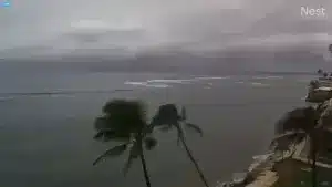 Webcams Maui