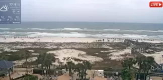 Gulf Shores Beach Webcams | Alabama