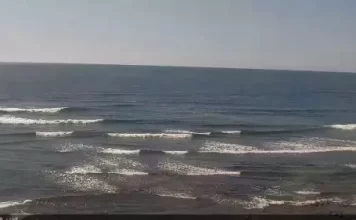 Carlsbad Live Cam Beach Surf - Terramar Point