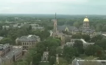 Notre Dame Live Webcam