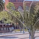 San Francisco Bay Webcam - California