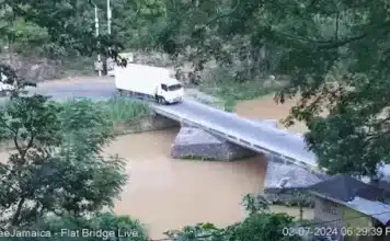 Jamaica Flat Bridge | Rio Cobre River | Live Cam Video