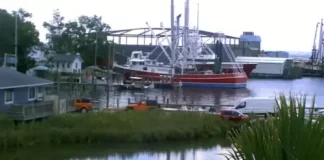 Oriental Nc Webcam | Harbor Dock Live Video