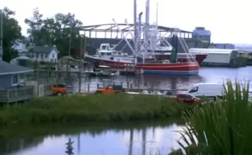 Oriental Nc Webcam | Harbor Dock Live Video