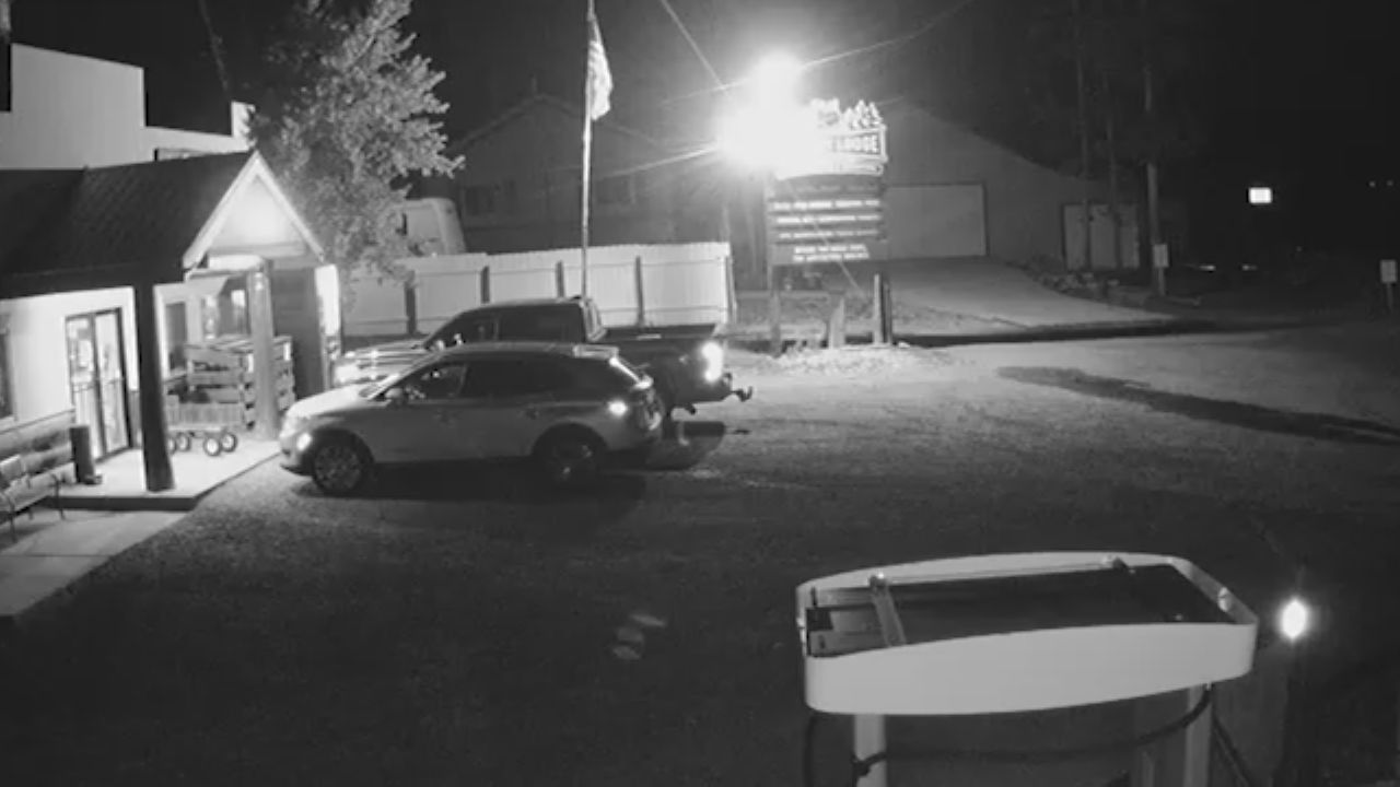 Albany Lodge Webcams – Laramie, Wyoming | Live Video