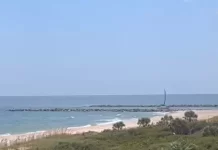 Live Webcam St George Island Florida