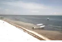 Puerto Morelos Webcam