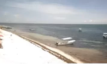 Puerto Morelos Webcam