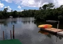 Virgin Islands ecotours Mangrove Lagoon St Thomas