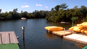 Virgin Islands ecotours Mangrove Lagoon St Thomas