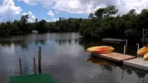 Virgin Islands ecotours Mangrove Lagoon St Thomas