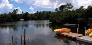 Virgin Islands ecotours Mangrove Lagoon St Thomas