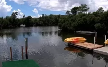 Virgin Islands ecotours Mangrove Lagoon St Thomas