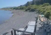 Kodiak Alaska Webcam | Raspberry Island Beach Live Video