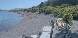 Kodiak Alaska Webcam | Raspberry Island Beach Live Video