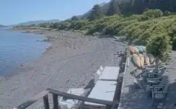 Kodiak Alaska Webcam | Raspberry Island Beach Live Video