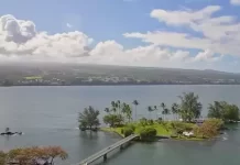 Coconut Island Webcam