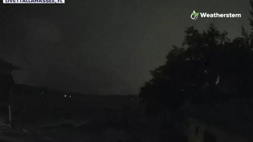 Hurricane Helene Live Webcams in Florida & Georgia