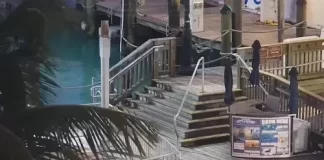 Marker Hotel Key West Webcam - Live Video | Florida