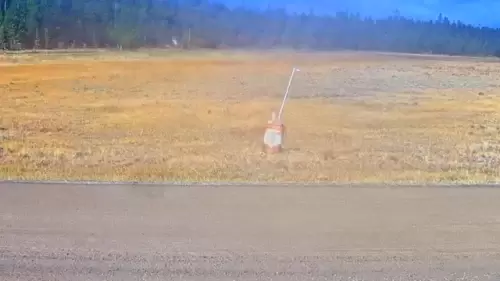 Union Pass Wyoming Webcam – Live HD Video