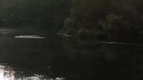 Wakulla Springs Webcam | Florida | Live Video