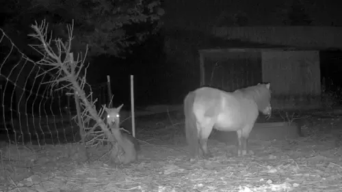 White Porch Farm, Epsom New Hampshire