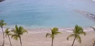 Little Bay Beach - Philipsburg - Sint Maarten | Hd Video Cam