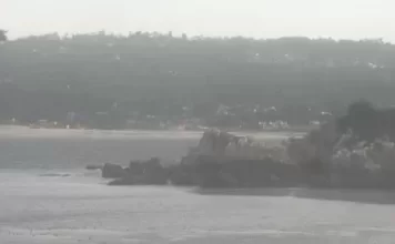 Point Lobos Webcam