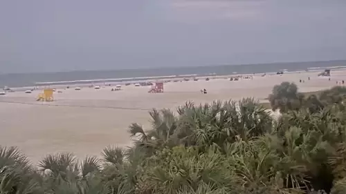 Sarasota Florida Webcams – Circus City