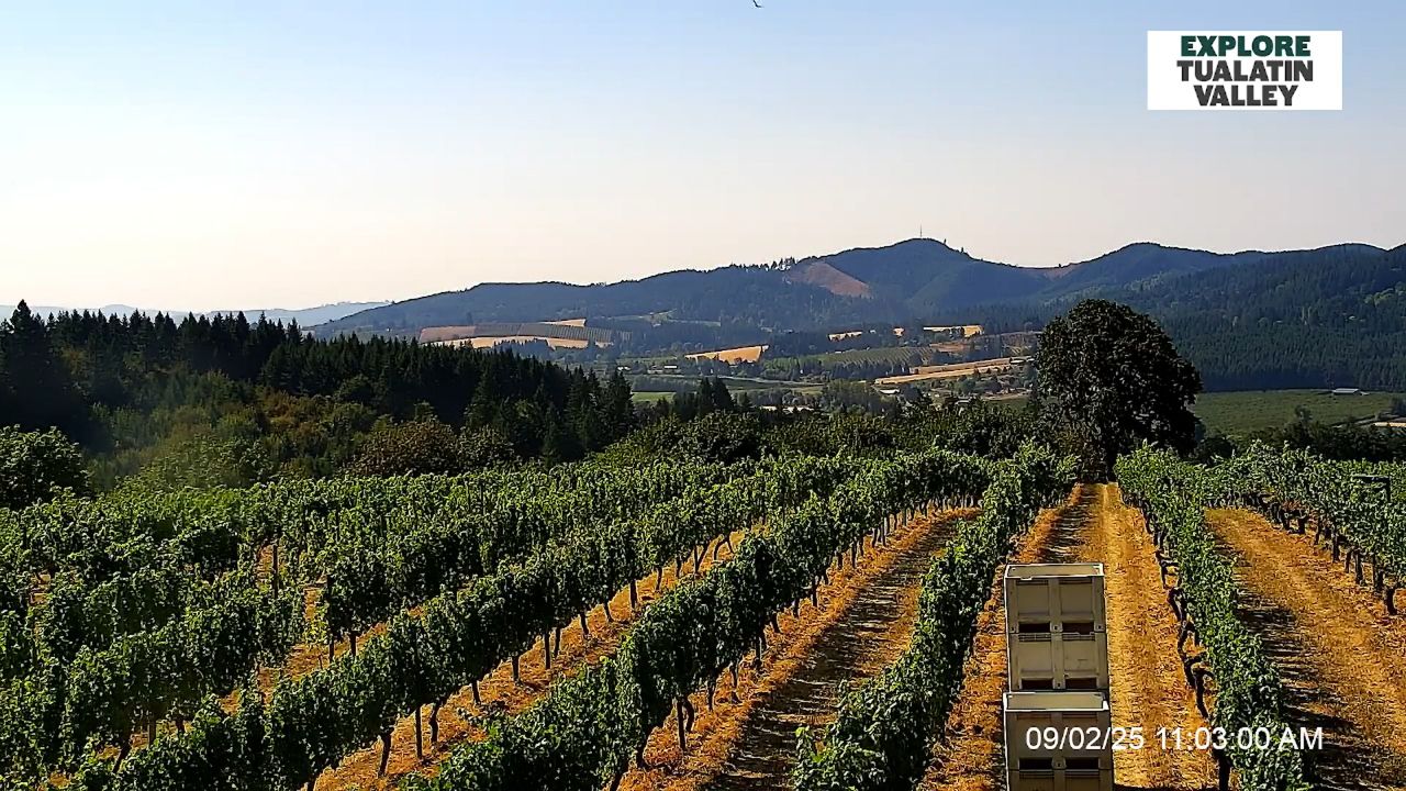 Tualatin Valley Oregon – Northern Willamette Valley