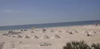 Siesta Key Fl Webcams - Little Sarasota Key