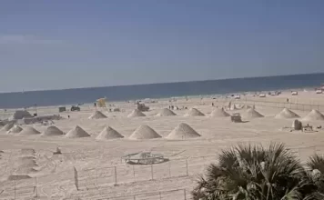 Siesta Key Fl Webcams - Little Sarasota Key