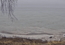 Calumet Webcam - Parks Harbor - Hilbert Wisconsin | Live Video